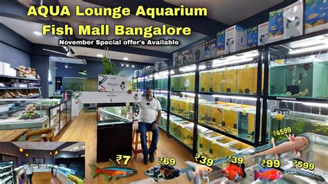 aquarium online bangalore|Aqua Club .